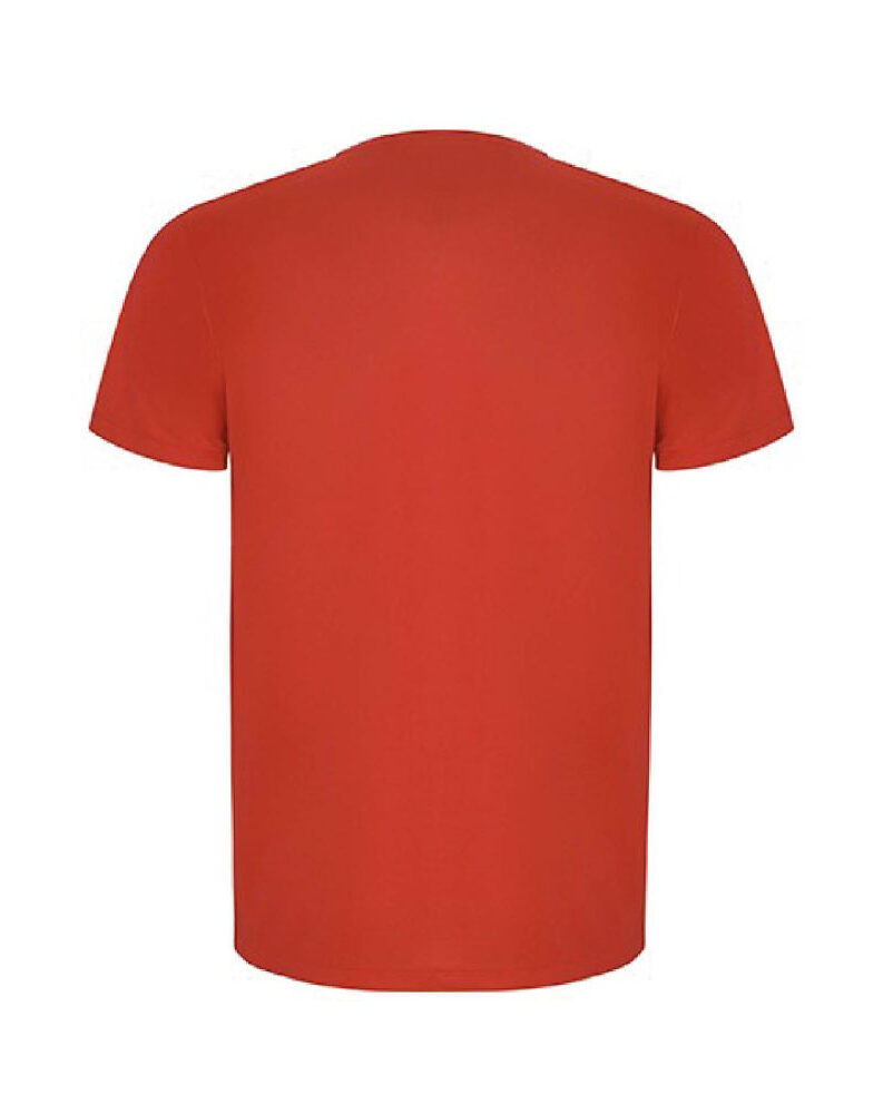 Camiseta Técnica ECO SANDFORD 12100200